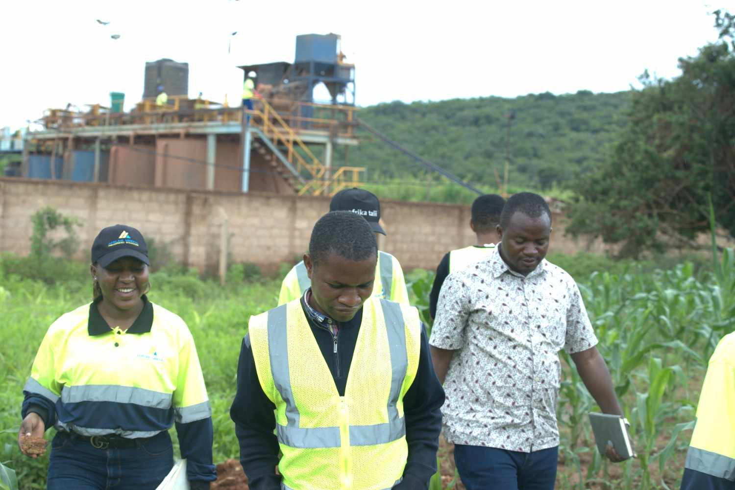 Technical Consultancy and Partnership